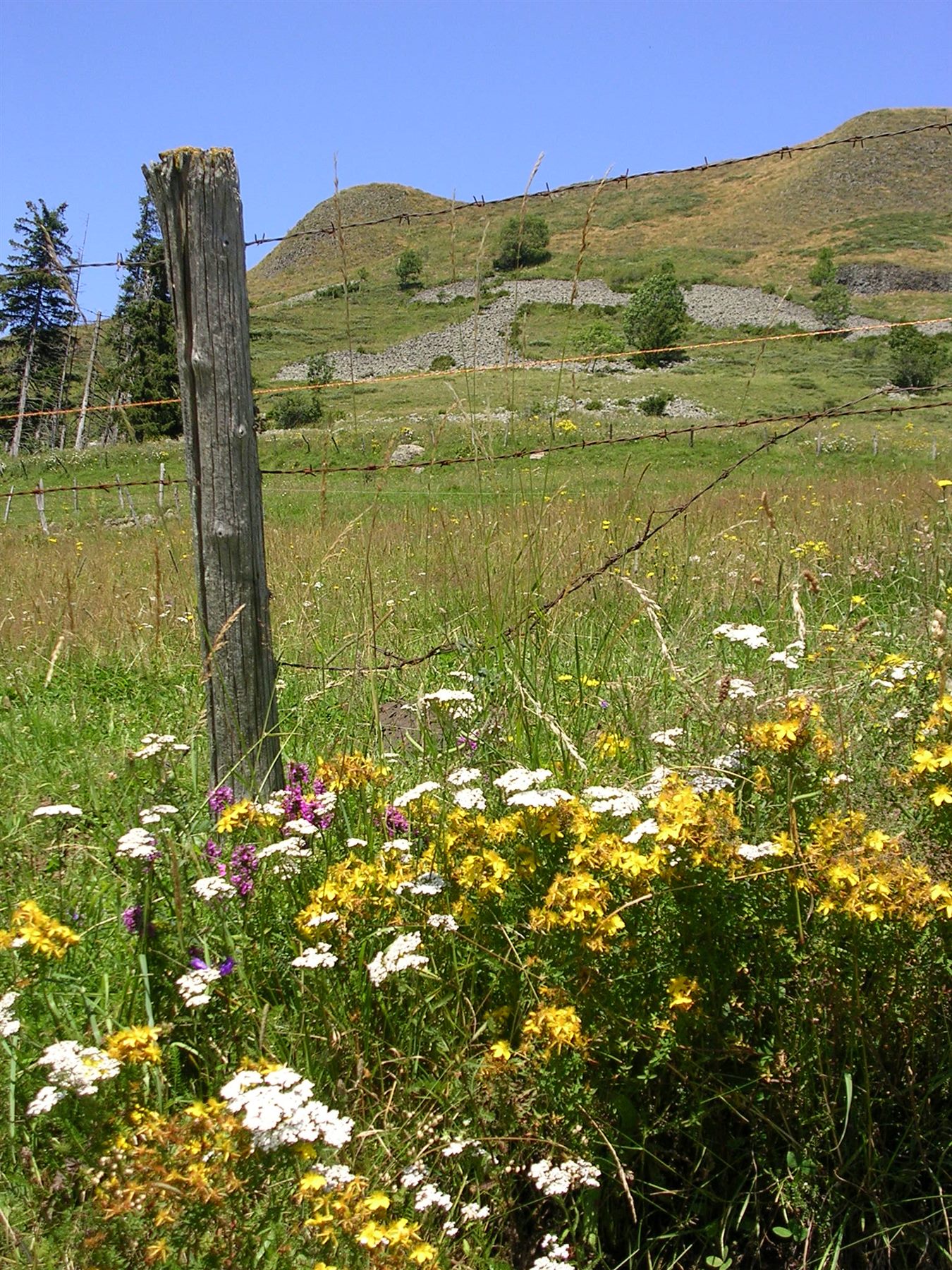 Paysage agricole