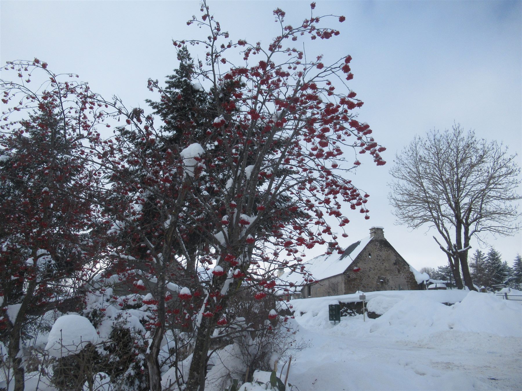 Toits du village sous la neige